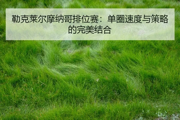 lei-ke-lai-er-mo-na-ge-pai-wei-sai-dan-quan-su-du-yu-ce-lve-de-wan-mei-jie-he-2-113.jpg