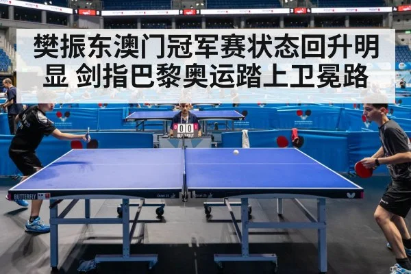 樊振东澳门冠军赛状态回升明显 剑指巴黎奥运踏上卫冕路