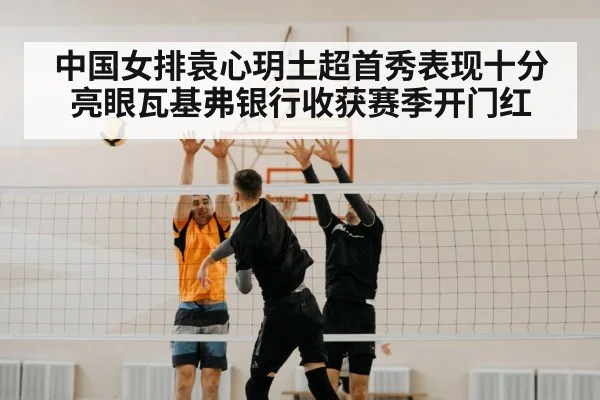 volleyball block
